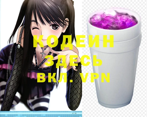 индика Балахна