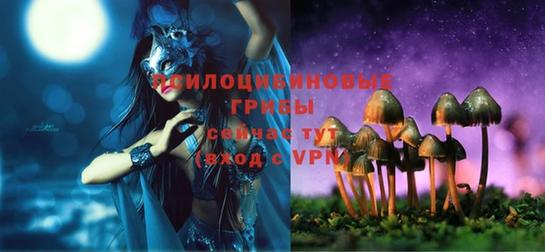 индика Балахна