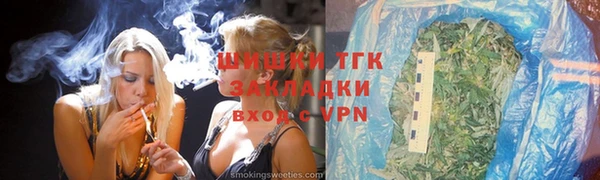 индика Балахна